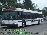 67304