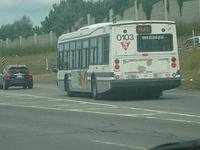 Nova Bus LFS 2001 (0101 @ 0124)