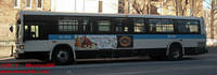 STM-15062-22022011-03
