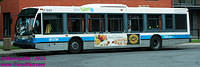 STM-17043-18082011-02