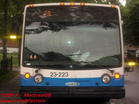 STM-23223-23062010-01