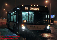 STM-30214-10032011-02