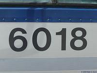 STL 6018 (26)