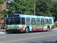 Concordia 110 (1)