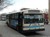 11-081 (3)