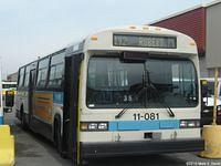 11-081 (4)