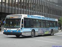 26-036 (2)