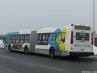 29-810 (2)