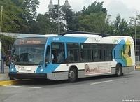 30-236 (2)
