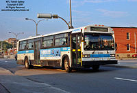 STM_12004.jpg
