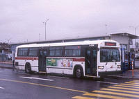 9-504.JPG