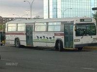 HPIM1583.JPG