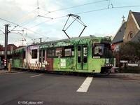 6036
