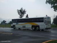 56004