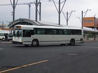 Dupont Cartier