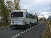 49606