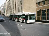 C20105