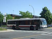 C20305