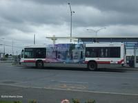 C20704