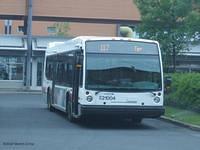 C21004