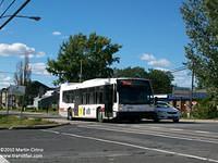 C21008