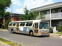 Autobus - Buses