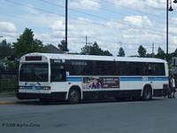 46101