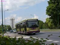 453.jpg