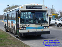 Various Busfanning and Bus Charter Photos