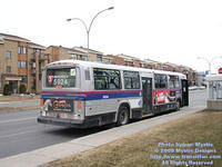 STL-5924-032909-203.jpg