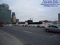 CITSO-021609-01.jpg