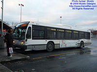 CITSO-383335-113009-01.jpg