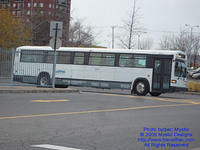 CITSO-689331-110909-01.jpg
