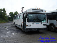 CITSO-847-091408-02.jpg