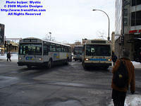 CITCRC-48901-031308-01.jpg