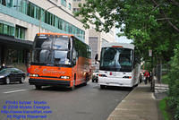 LQ-9902-070809-01.jpg