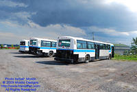 RTC-060609-07.jpg