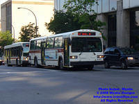 RTL-9517-062308-01.jpg