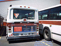 RTL-C9501-080605-01.jpg