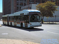RTL-TCV-20108-080605-01.jpg