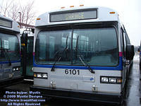 STL-6101-032909-01.jpg
