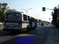 STL-6011-092408-02.jpg