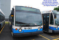 STM-16062-053109-02.jpg