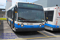 STM-18020-050210-02.jpg