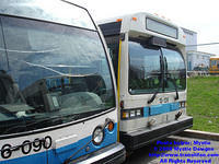 STM-15139-042608-02.jpg