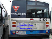 STM-16106-042608-01.jpg