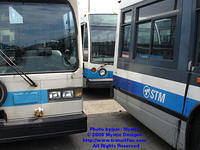 STM-16121-042608-01.jpg