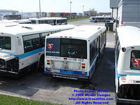 STM-16122-042608-04.jpg