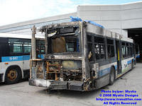 STM-17019-042608-07.jpg