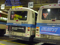 STM-14047-091309-01.jpg